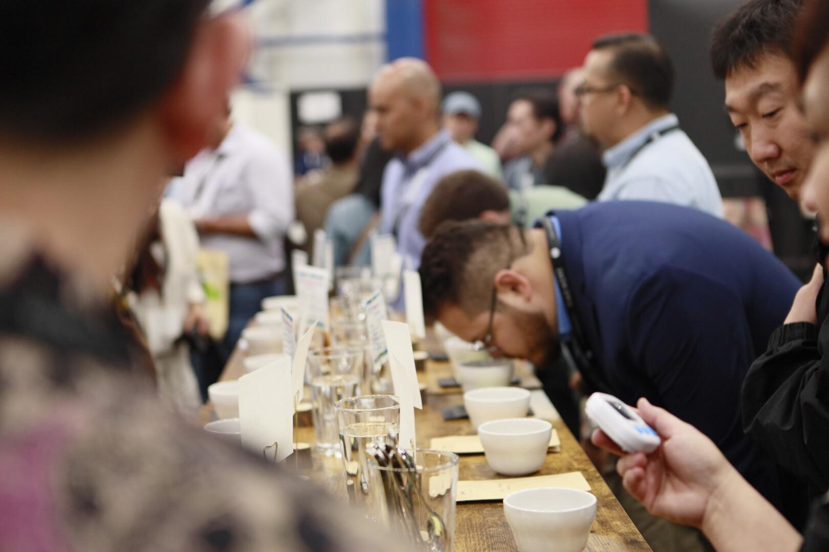 sesi cupping